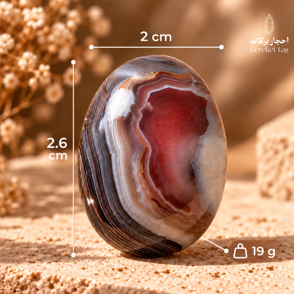 Polished Banded Botswana Agate stone showing its 2.6 cm length, 2 cm width, and 19 g weight