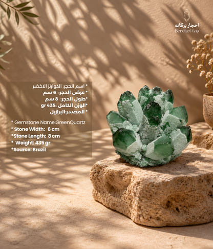 Brazilian green quartz crystal cluster displayed on a natural stone base in a warm interior setting