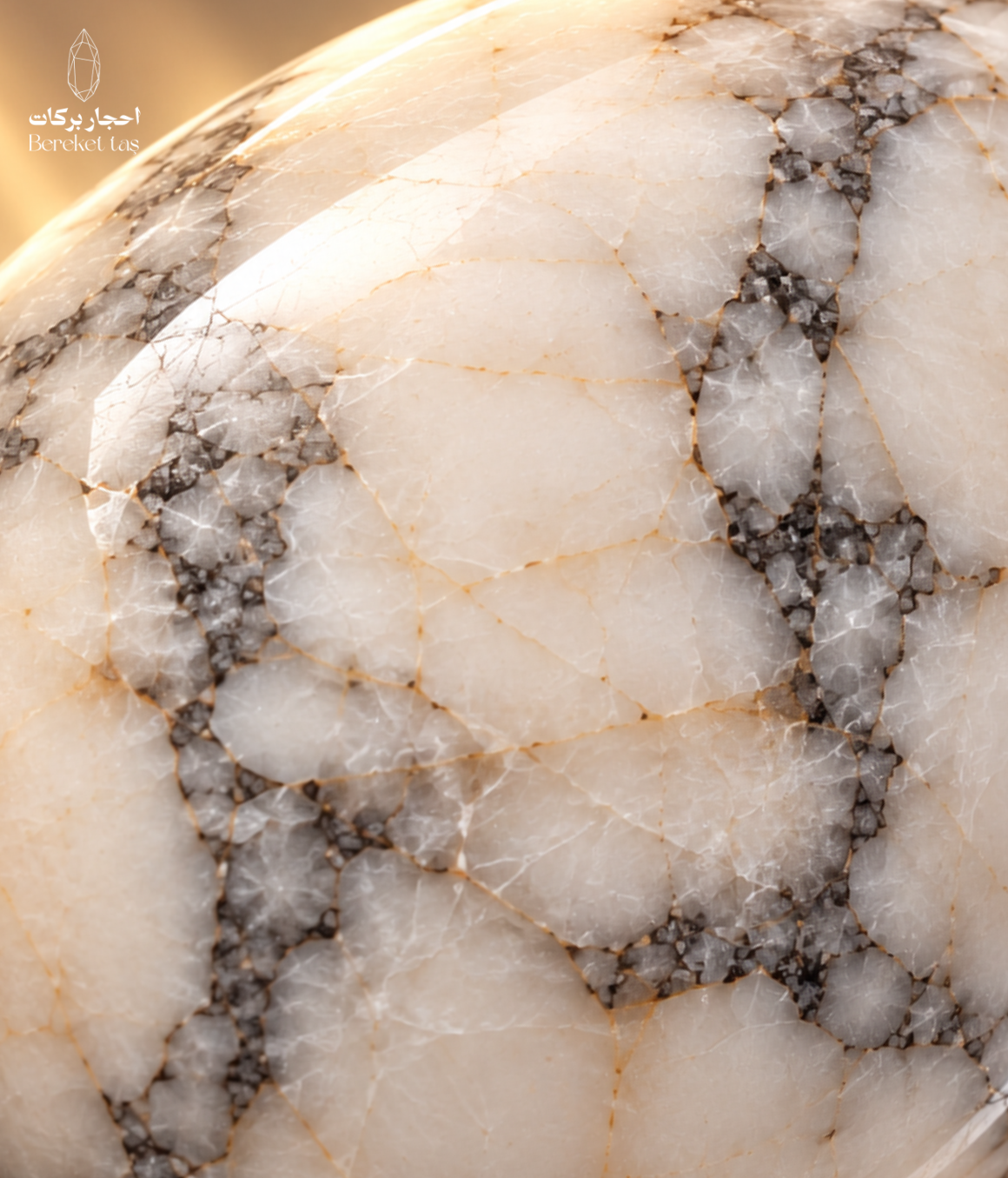 Close-up of polished Brazilian Howlite showing its white surface and distinctive gray and black veining