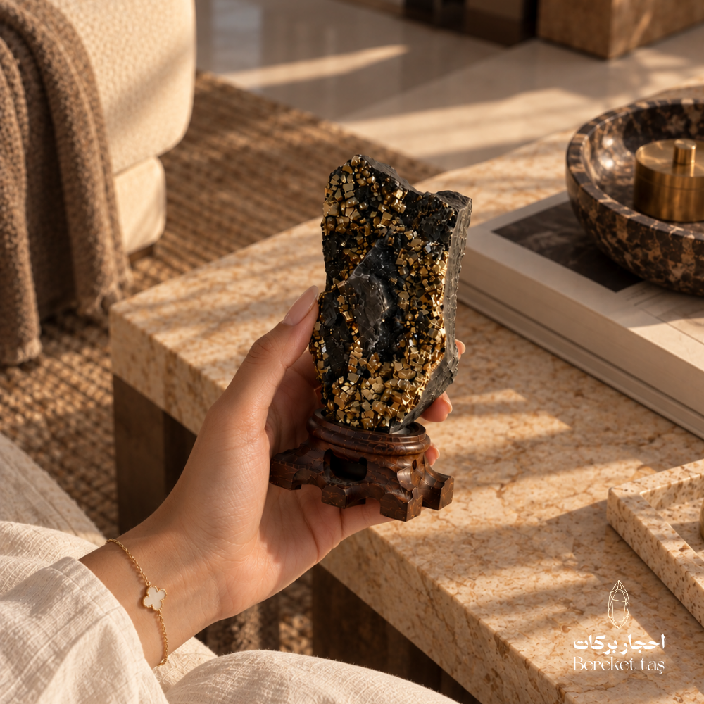 Natural black Shungite with golden Pyrite crystals held by hand, highlighting the contrasting mineral details